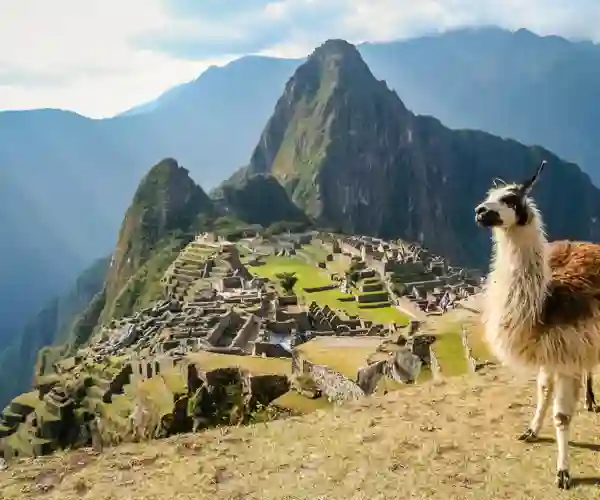 Machu Picchu