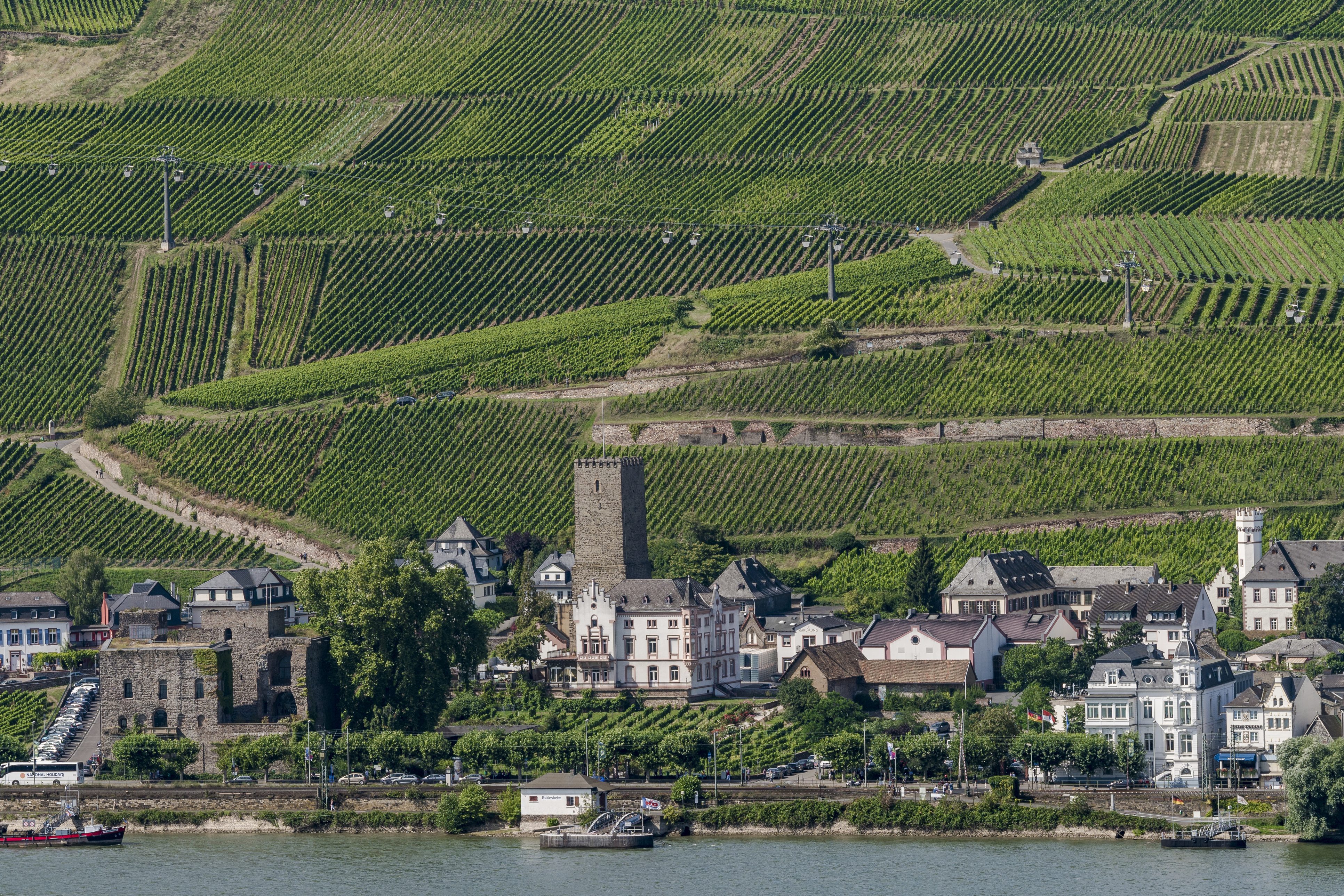 Rüdesheim