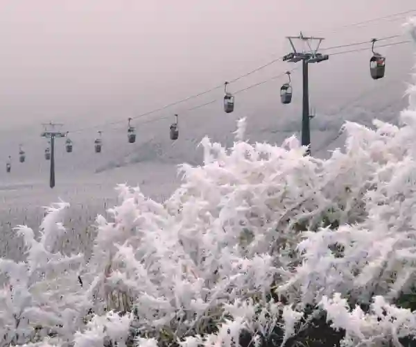 Vinter i Rüdesheim med gondol