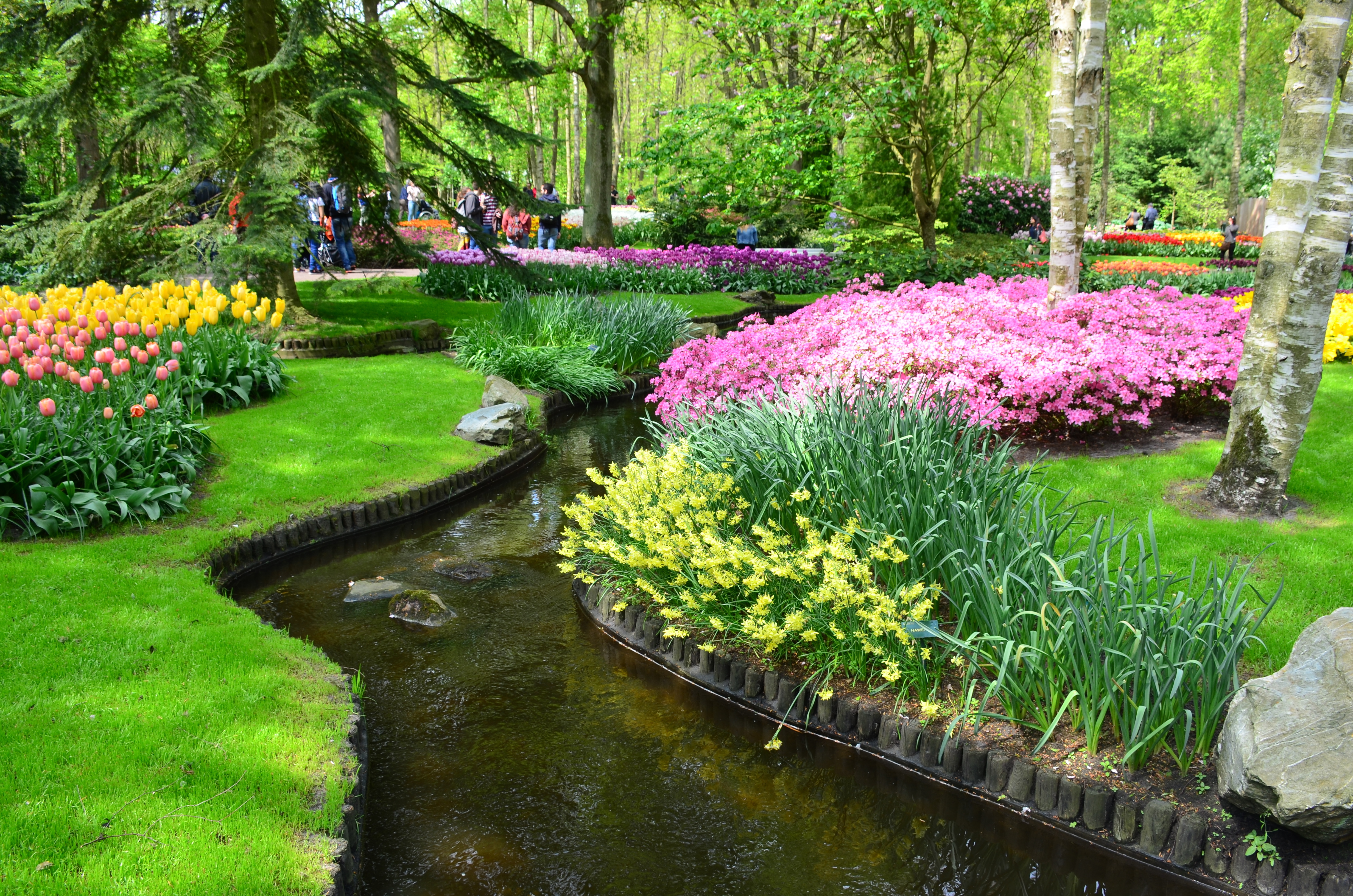 Keukenhof