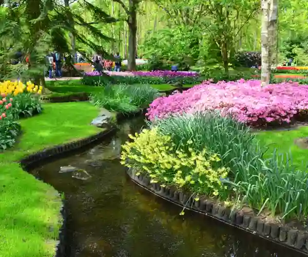 Keukenhof