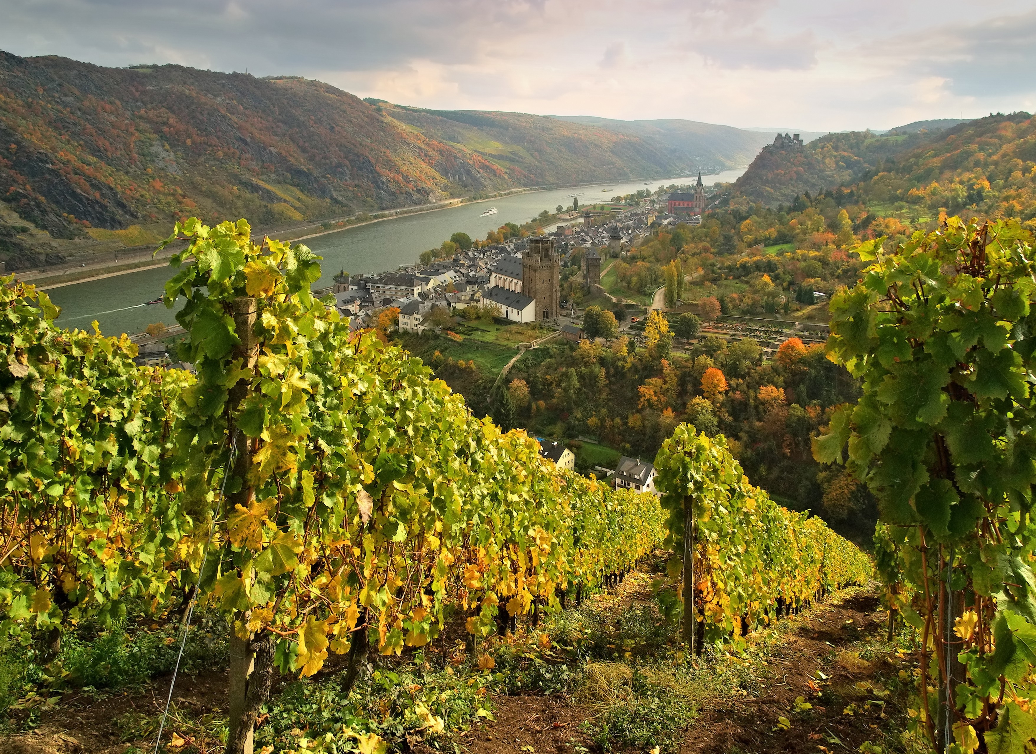 Oberwesel ved Rhinen