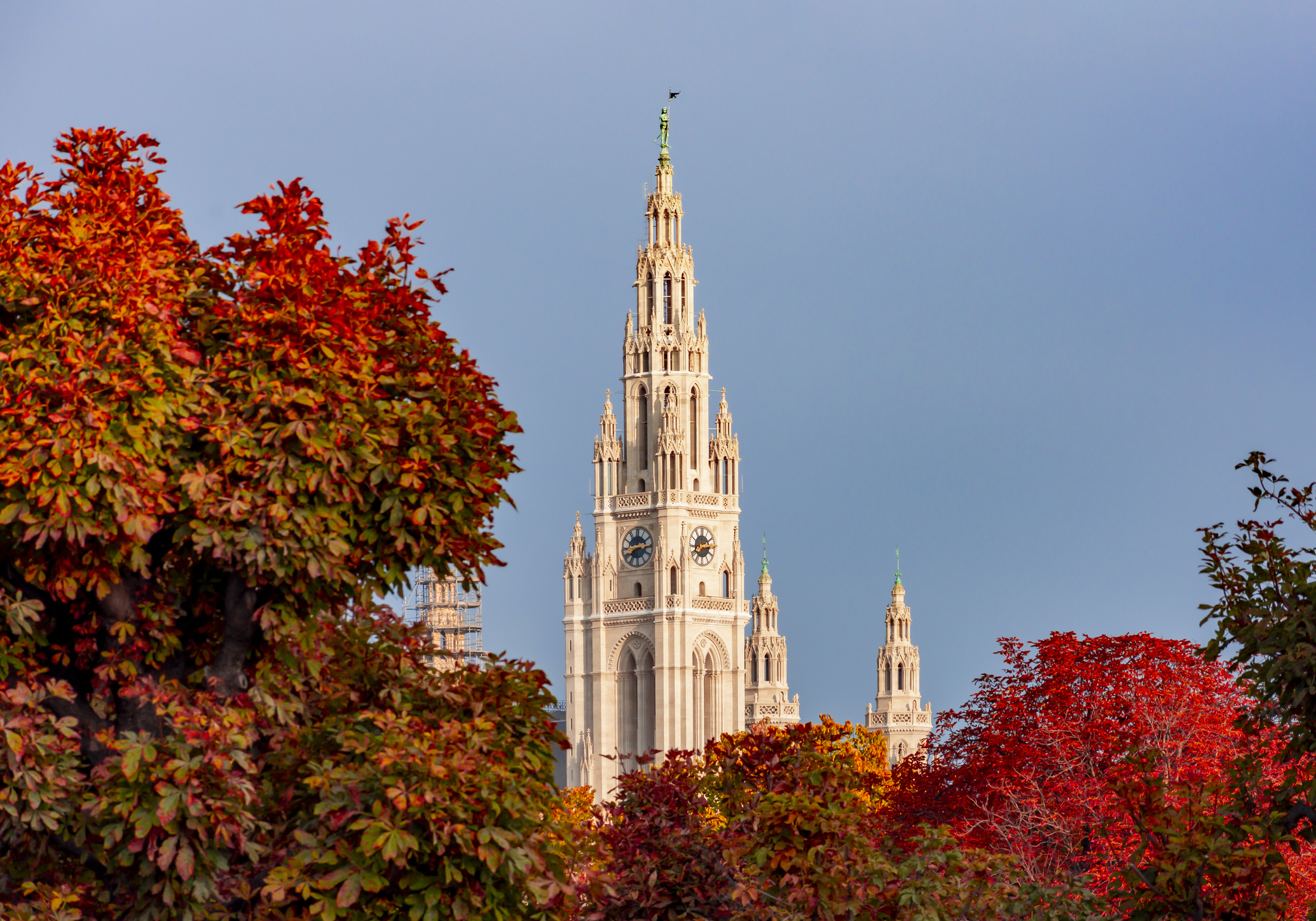 Tårnet til rådhuset i Wien om høsten