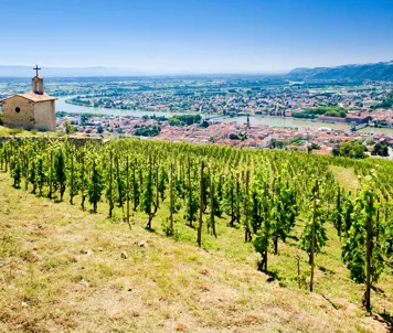 Tain L'hermitage