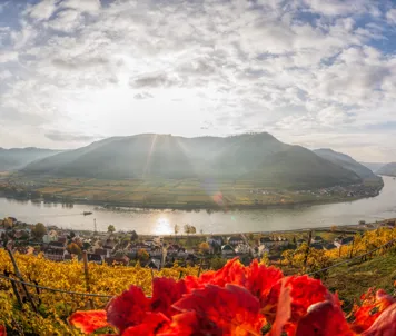 Wachaudalen