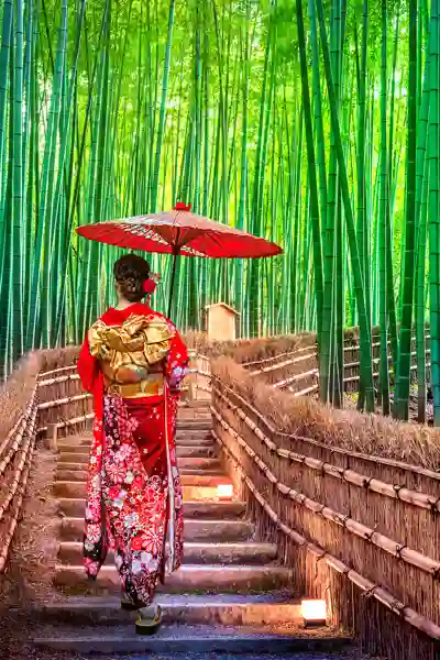 Bambusskogen i Kyoto, Japan
