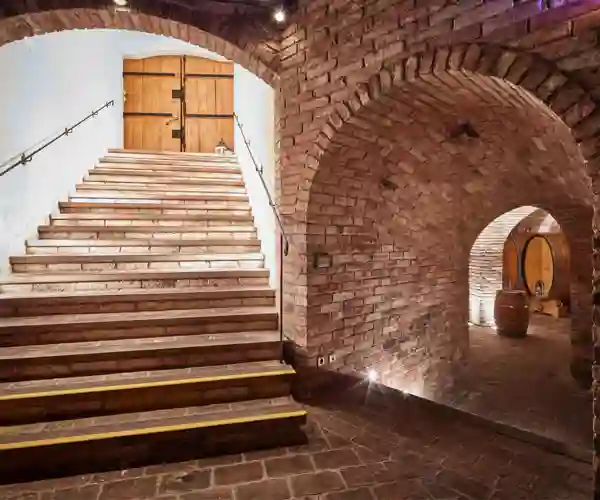 Vinkjeller i Winzer Krems