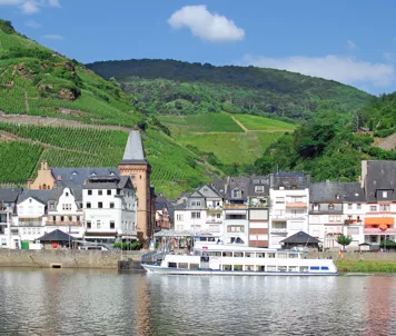 Zell