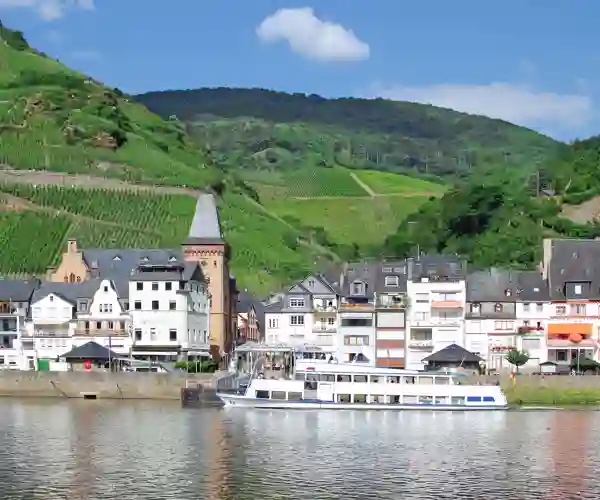 Zell