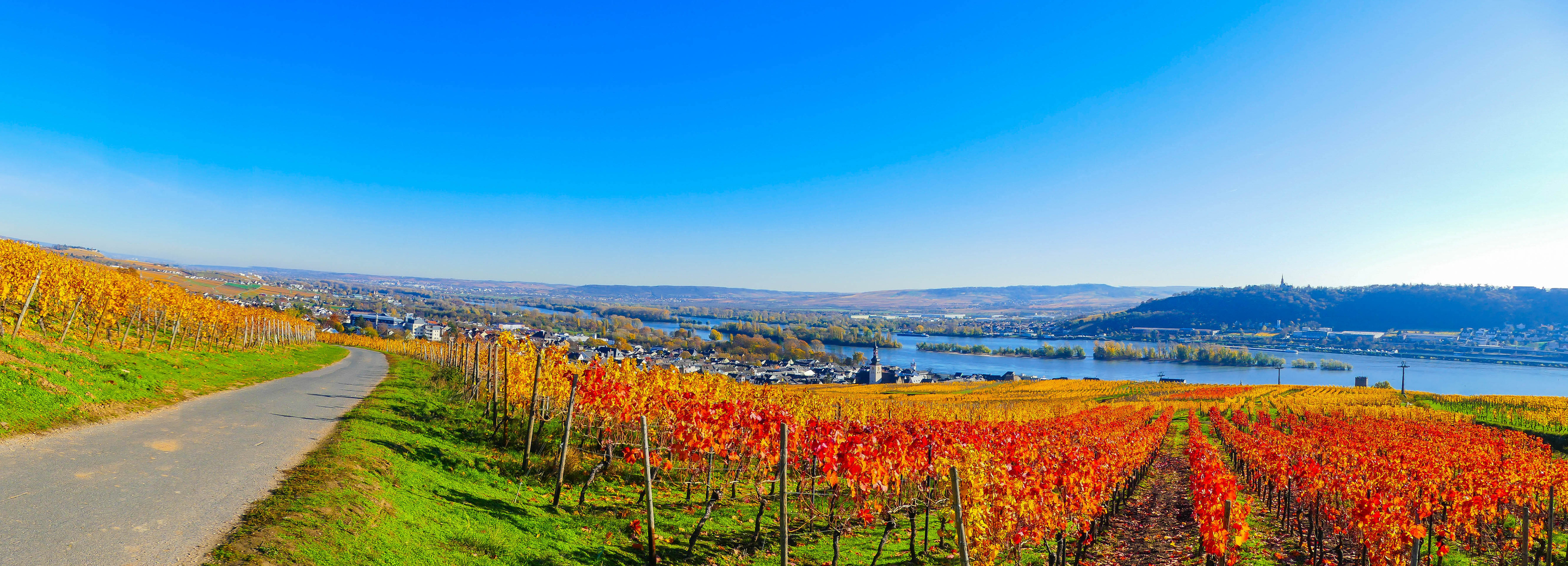Rüdesheim i høstfarger
