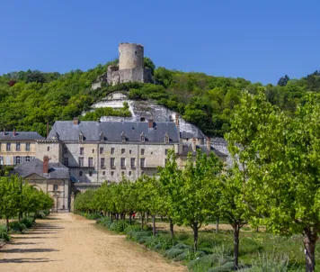 Château de La Roche-Guyon