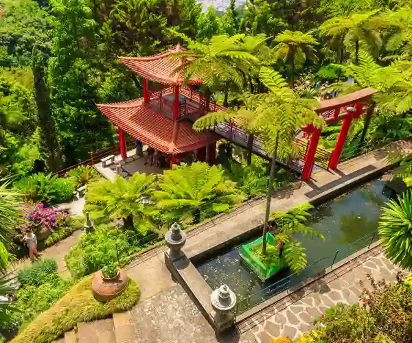 Den tropiske hagen i Monte