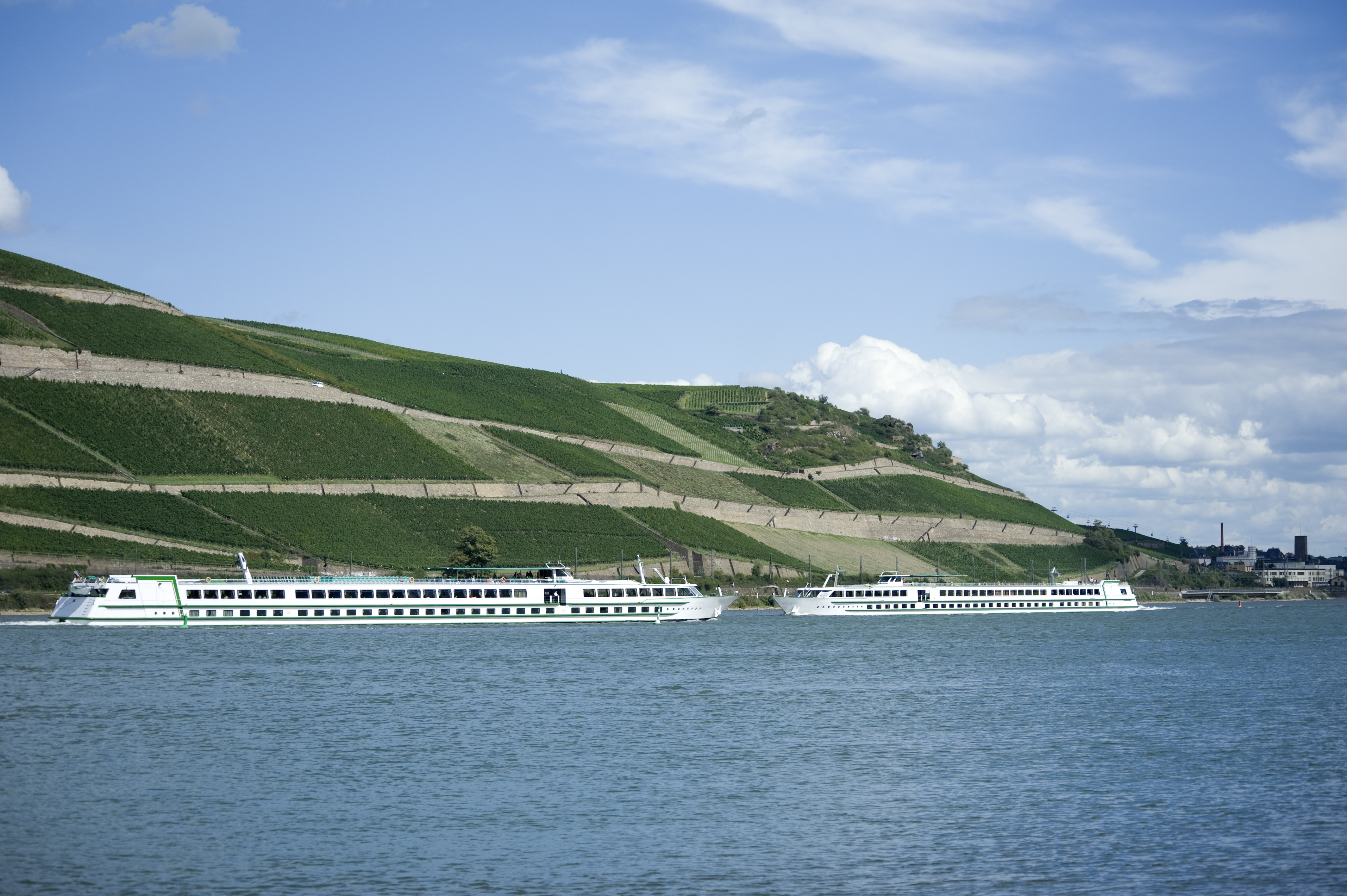 Rüdesheim med to elvecruise