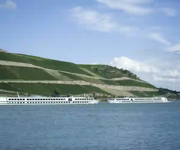 Rüdesheim med to elvecruise