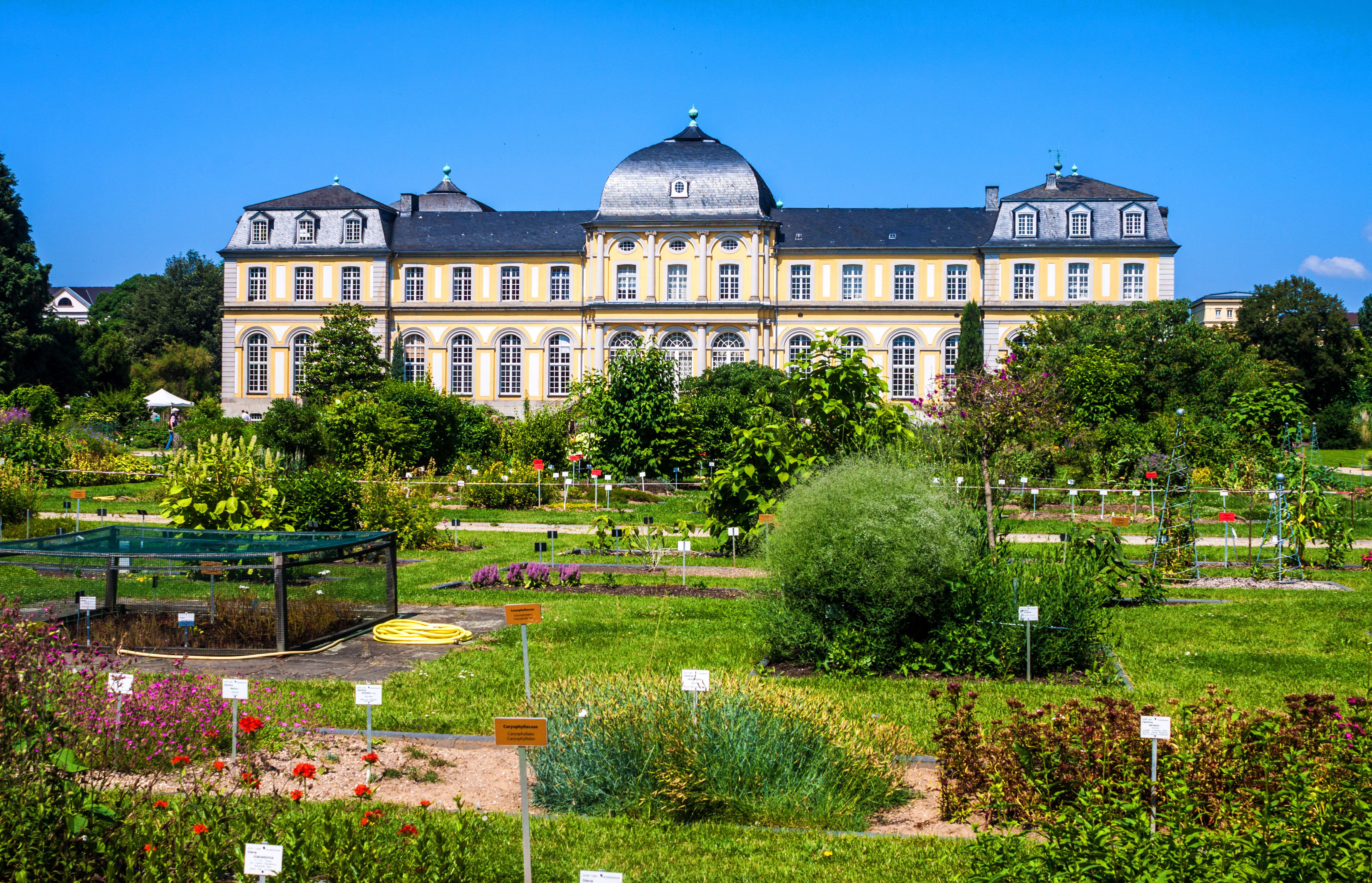 Poppelsdorf slott i Bonn