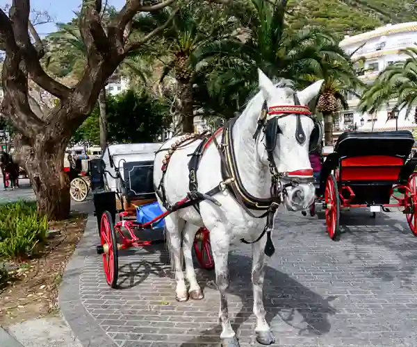 Hestetaxi i Mijas Pueblo