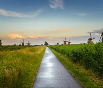 Kinderdijk