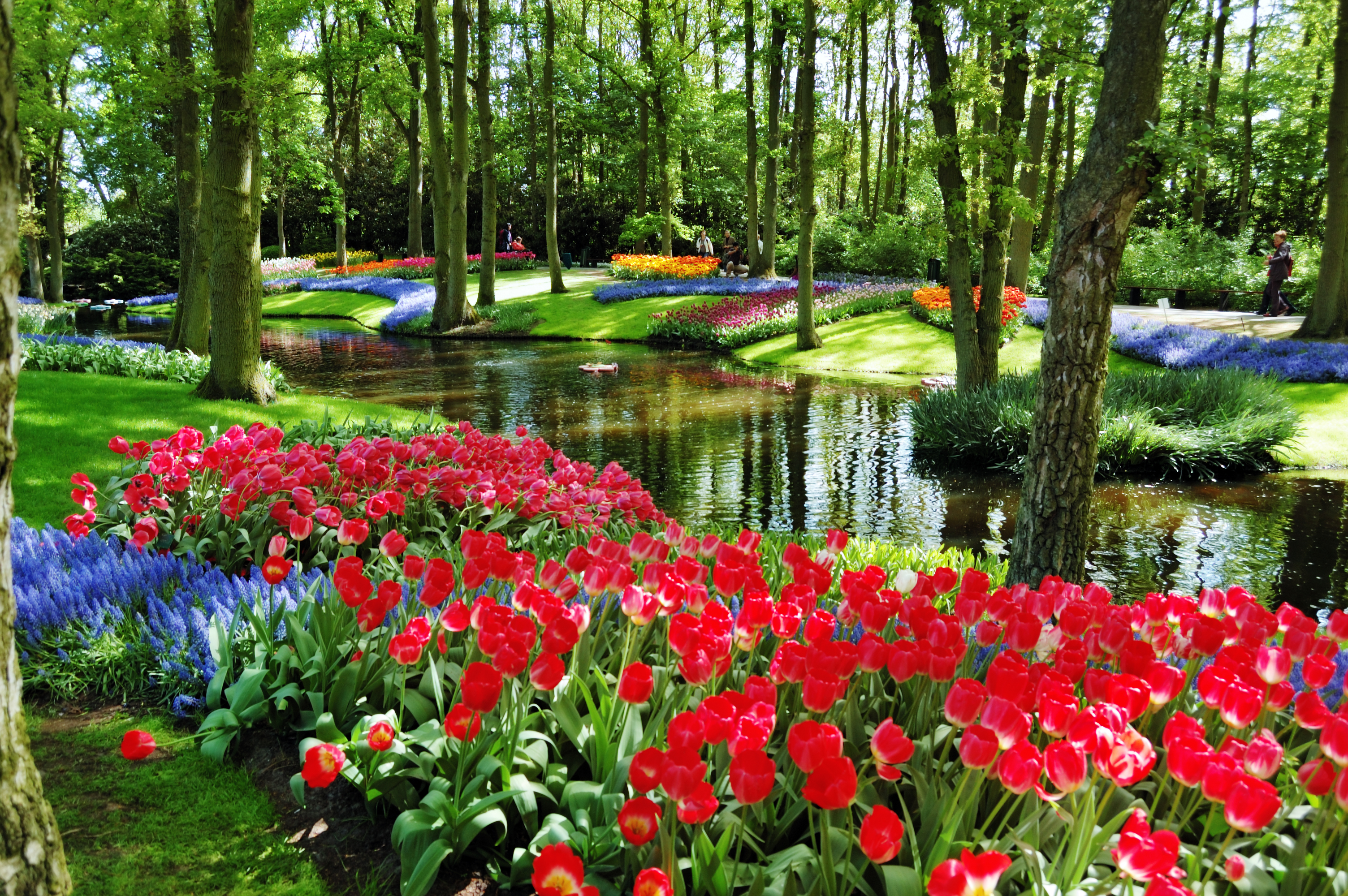 Keukenhof