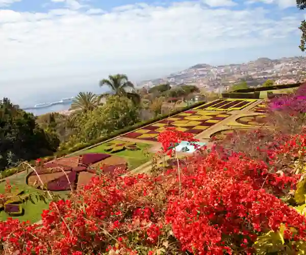 Botaniske hagen i Funchal