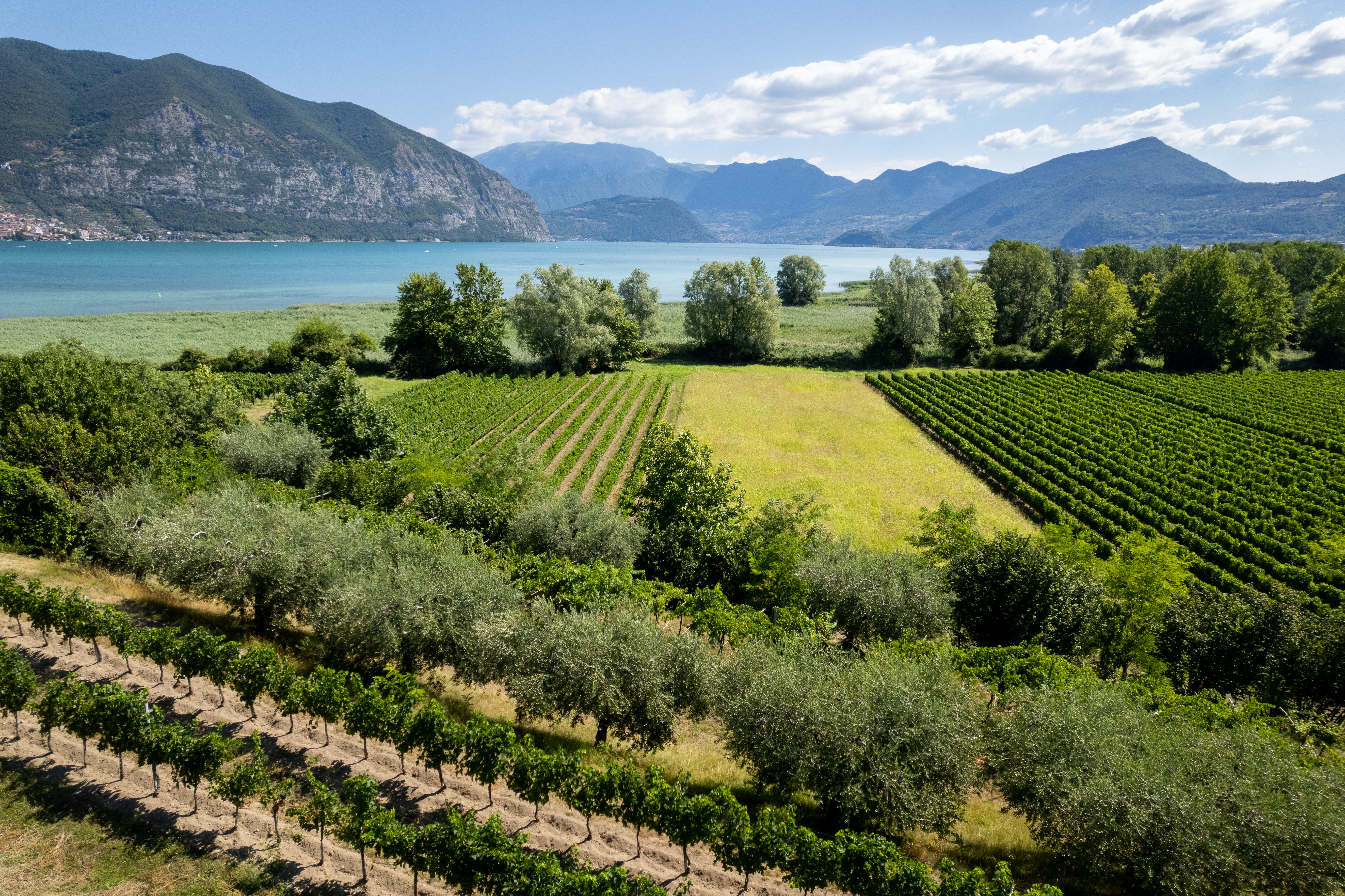 Vindistriktet Franciacorta