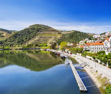 Pinhão