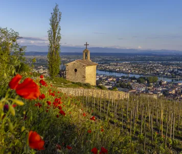Tain L'hermitage