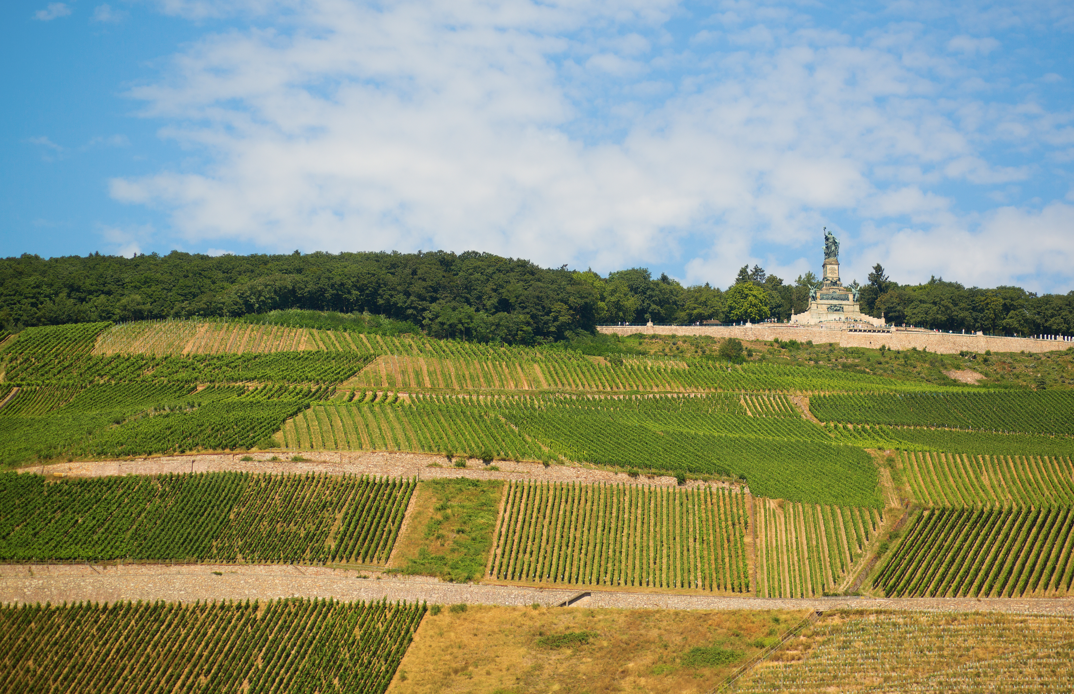 Niederwalddenkmal Ruedesheim