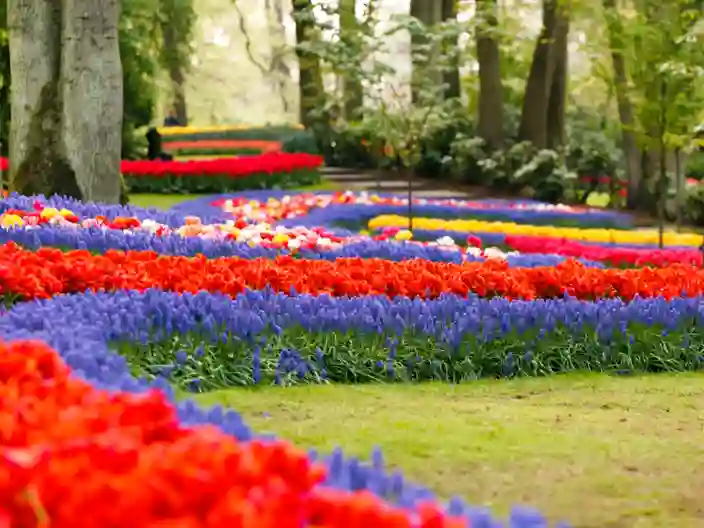 Keukenhof