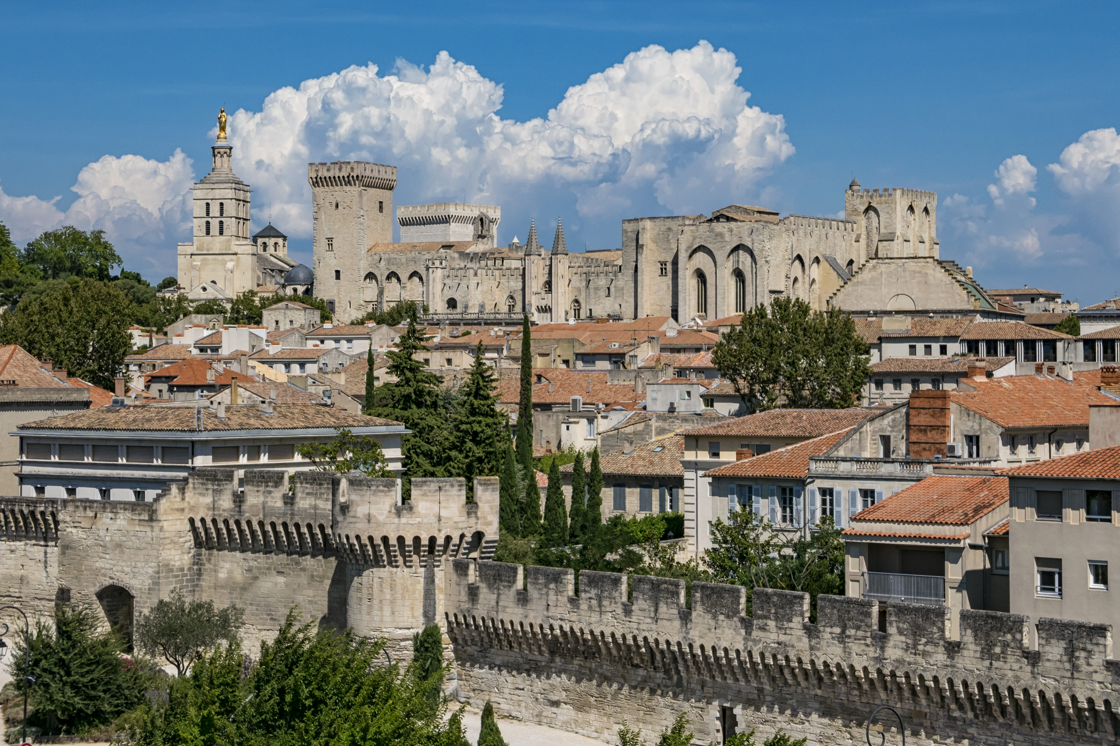 Avignon