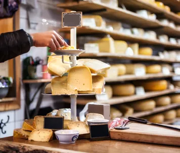 Gouda