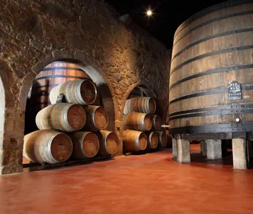 Vinsmaking i Porto