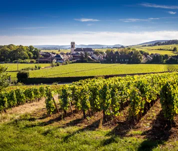 Beaune