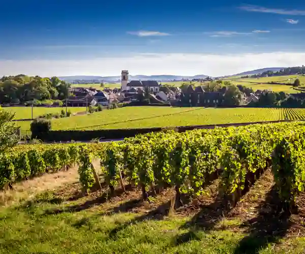 Beaune
